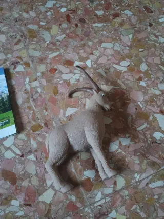 Stambecco Dominatori delle Montagne Sbabam