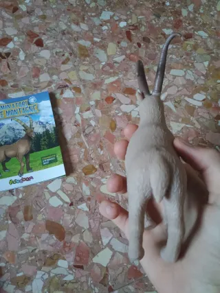 Stambecco Dominatori delle Montagne Sbabam