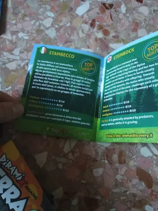 Stambecco Dominatori delle Montagne Sbabam