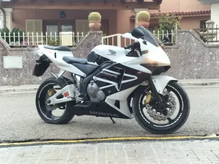 Honda CBR 600 RR sport