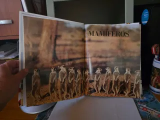 Enciclopedia de los animales