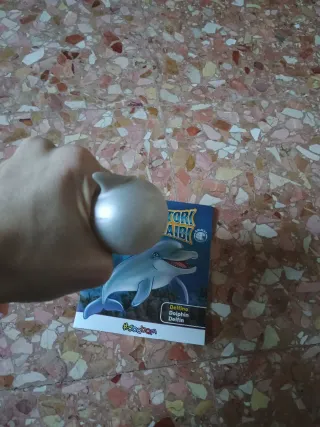 Delfino Dominatori dei Caraibi Sbabam