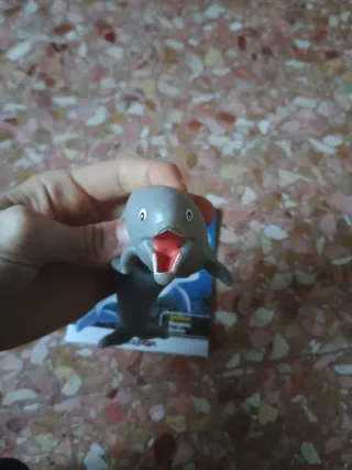 Delfino Dominatori dei Caraibi Sbabam