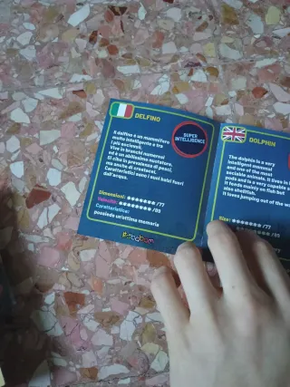 Delfino Dominatori dei Caraibi Sbabam