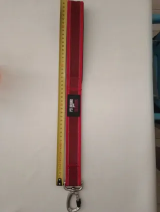 Guinzaglio per cani rosso