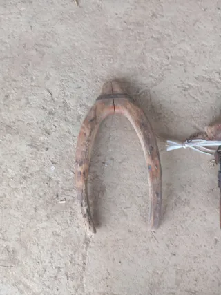 Antiguos aperos de caballo