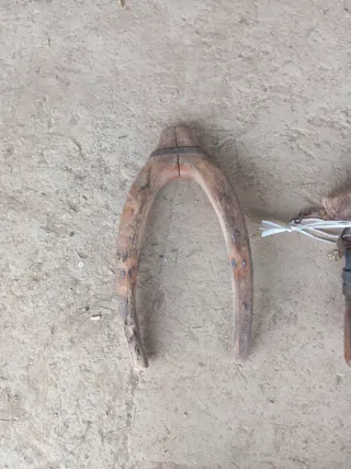 Antiguos aperos de caballo