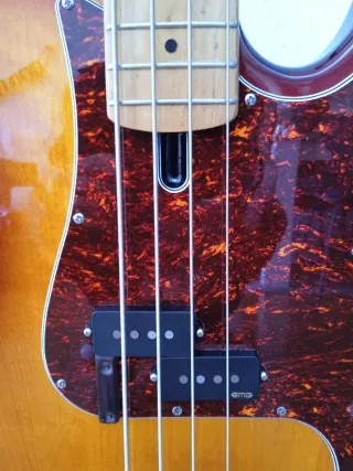 Bajo Sire p5 con emg