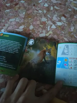 Volpe Sbabam Dominatori delle Montagne