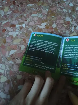 Volpe Sbabam Dominatori delle Montagne