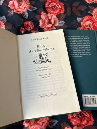 Pack libros infantiles