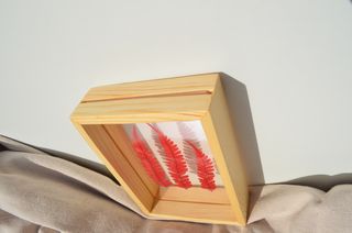 Cuadro Decorativo Hojas Secas