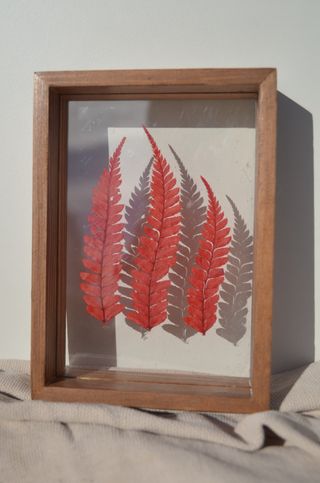 Cuadro Decorativo Hojas Secas