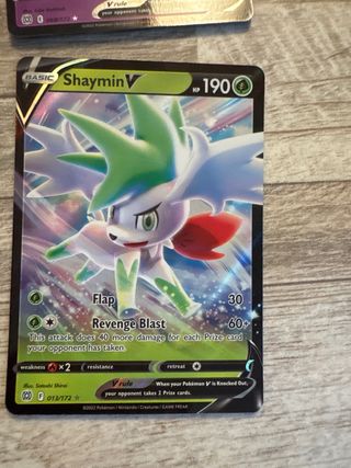 Cartas Pokémon V Pidgeot, Mewtwo, Zamazenta, Dramp