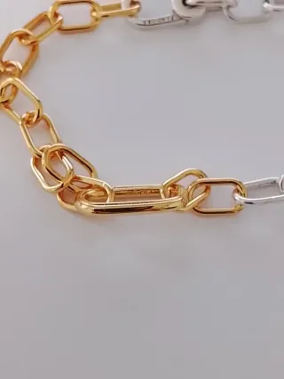 Pulsera Eslabones bicolor