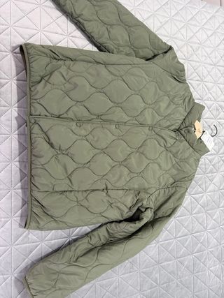 Cazadora Springfield acolchada verde