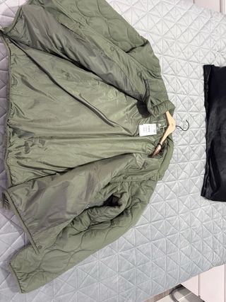 Cazadora Springfield acolchada verde