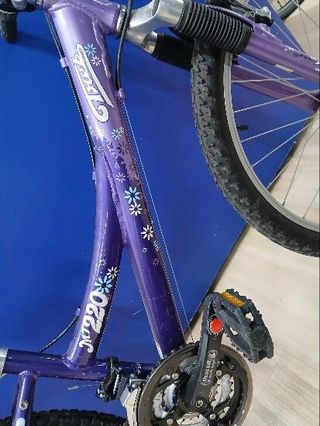 Bicicleta TREK MT220 24 pulgadas