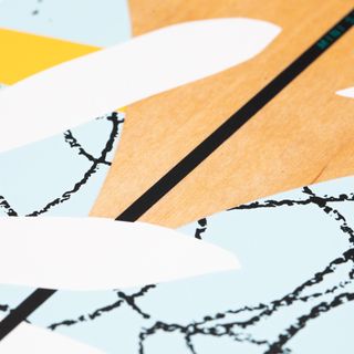 Longboard Drop 100 Floral