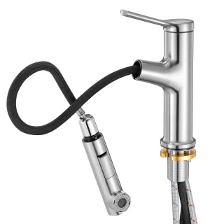 Rubinetto Monocomando per Lavello Cucina Acciaio