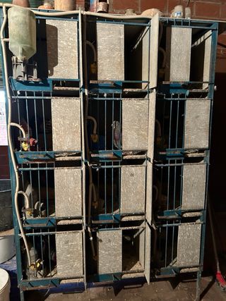 Jaula Palomos 12 Unidades