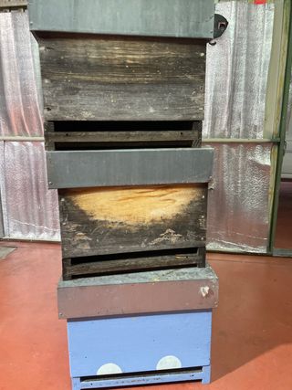 5 Colmenas Langstroth Completas