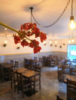 Mobiliario Hostelería: Sillas, Mesas y Banquetas