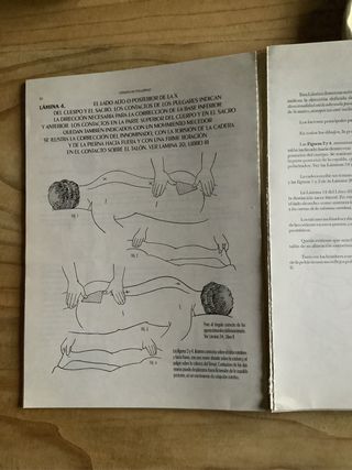 Libro Terapia de polaridad .Dr.Randolph Stone