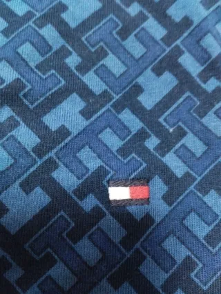 Camiseta Tommy Hilfiger Azul Estampada