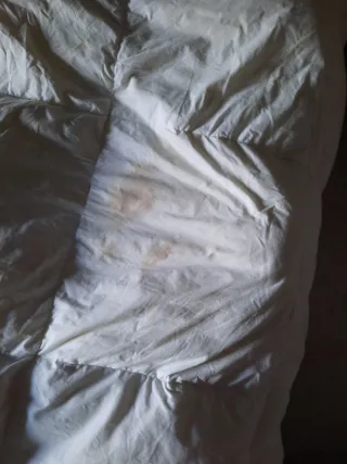 Colcha edredón de plumas con manchas