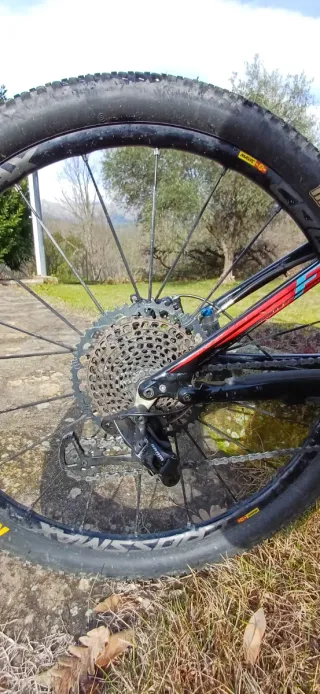 Specialized Epic Comp FSR Carbono