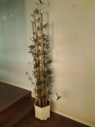 Planta de Bambú Artificial Decorativa