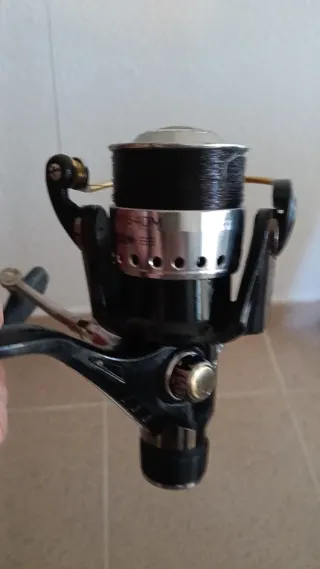 Cañas Milo Gold Valley Toledo Carp MKII 4.20