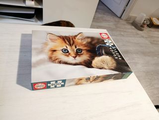 Puzzle Educa 200 piezas gatito
