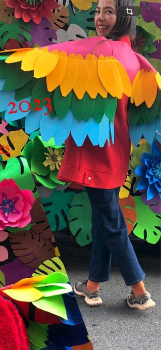 Alas de pájaro caseras multicolor