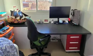 Habitación juvenil con escritorio y estanterías.