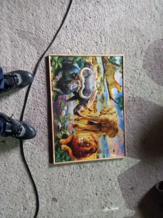 12 puzles madera diferentes tamaños