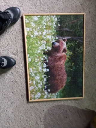 12 puzles madera diferentes tamaños