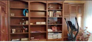 Librería de madera con estantes