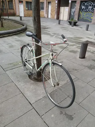 Bicicleta Paseo Torrot Vintage