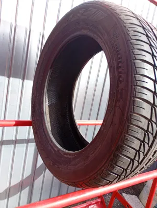 Neumático Motrio 205/55/16 91V