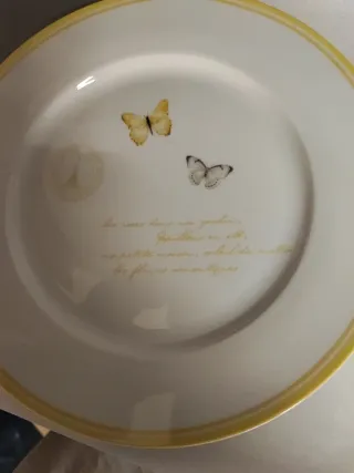 Set piatti piani e fondi decorati farfalle