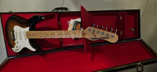 Guitarra Elèctrica Washburn Force 3.