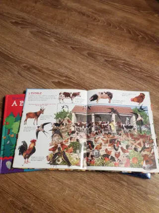 Libros buscar imagees