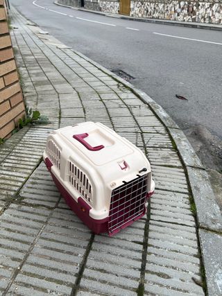 Transportín para mascotas beige y rojo