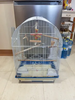 Jaula para agapornis o canarios