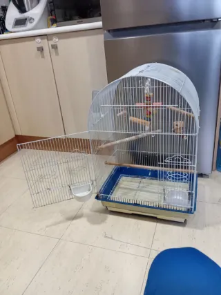 Jaula para agapornis o canarios