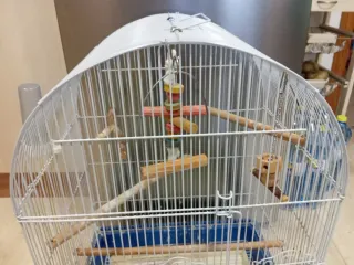 Jaula para agapornis o canarios
