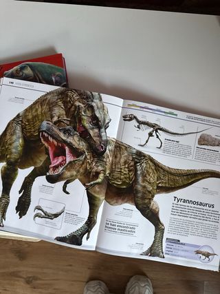 Libros dinosaurios