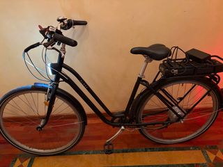 Bicicletta Elettrica con Pedalata Assistita